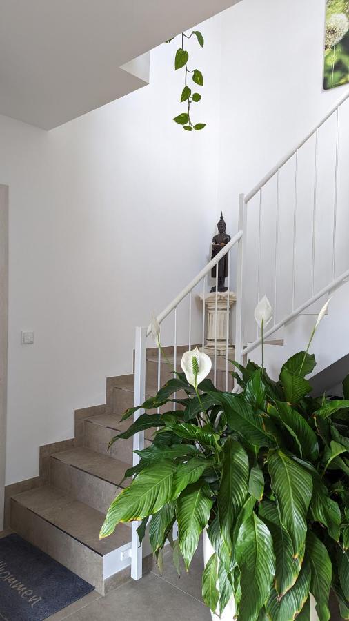 Gaestehaus Freystadt ภายนอก รูปภาพ